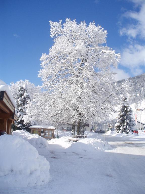 Haus Seifriedsberger Lägenhet Bramberg am Wildkogel Exteriör bild